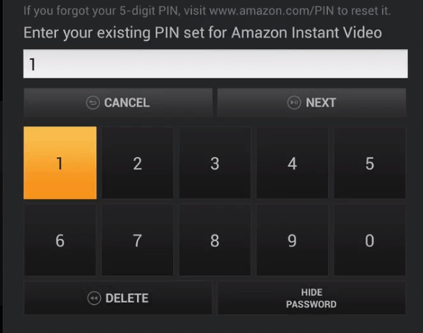 Enter your existing PIN 