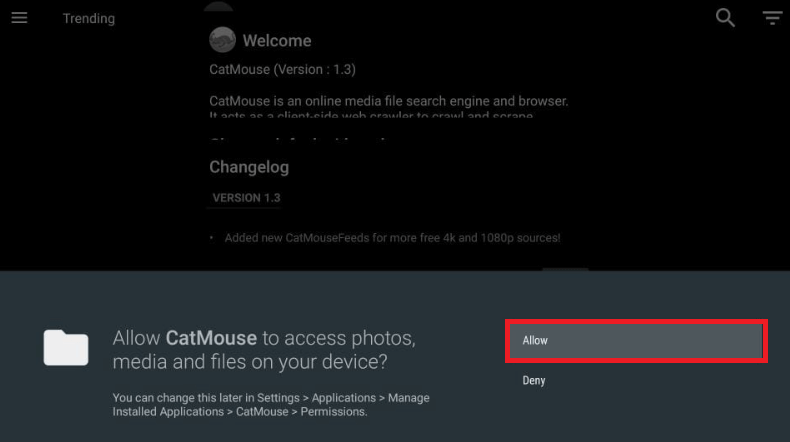 Click Allow to permit access to all files