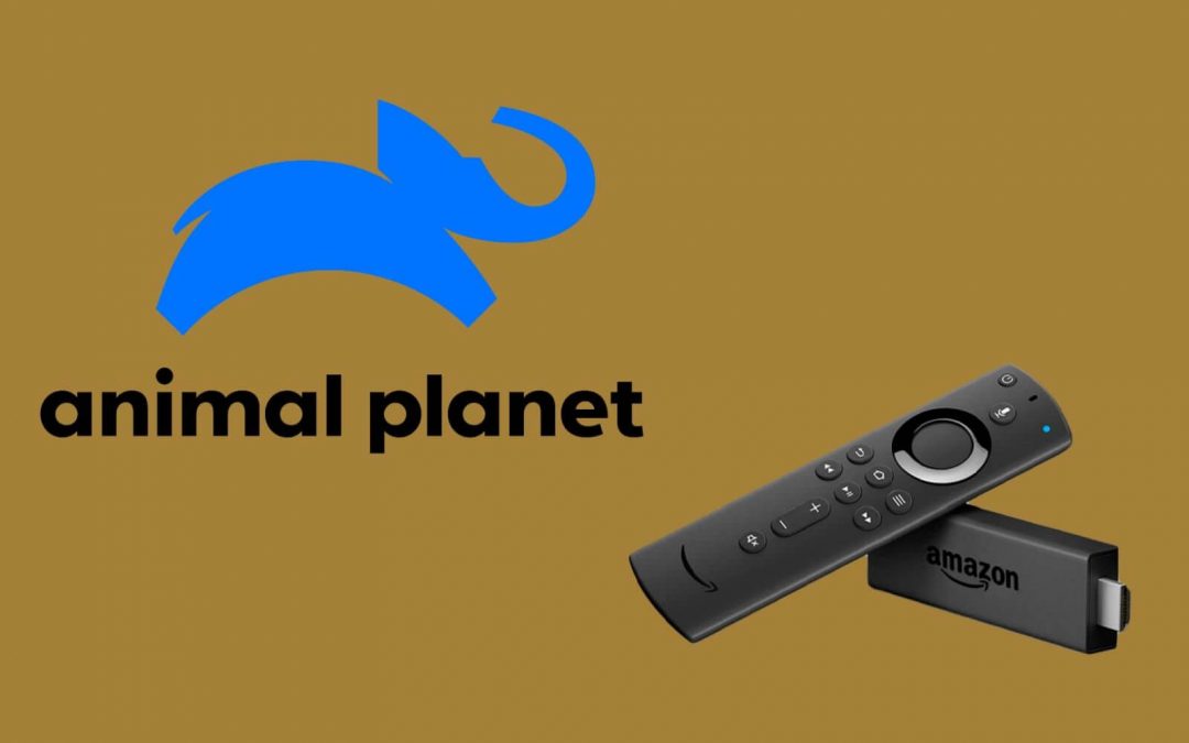 How to Install & Watch Animal Planet on Firestick