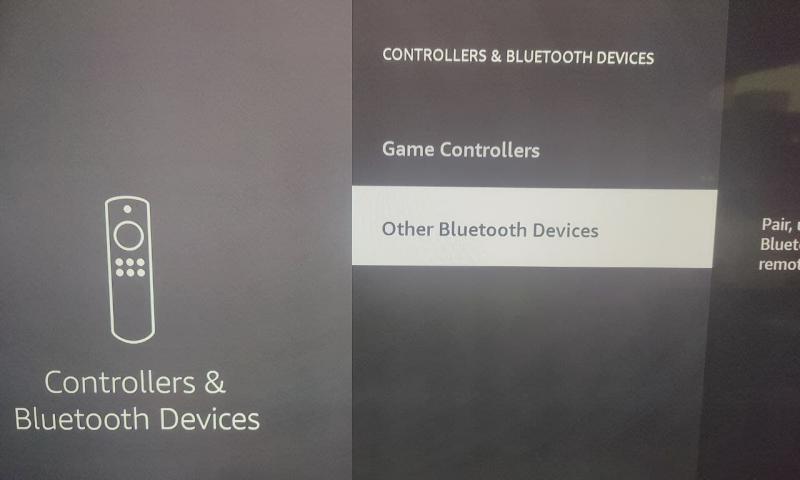 Select Other Bluetooth Devices