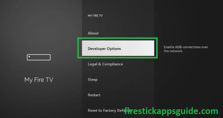 Select the Developer Options