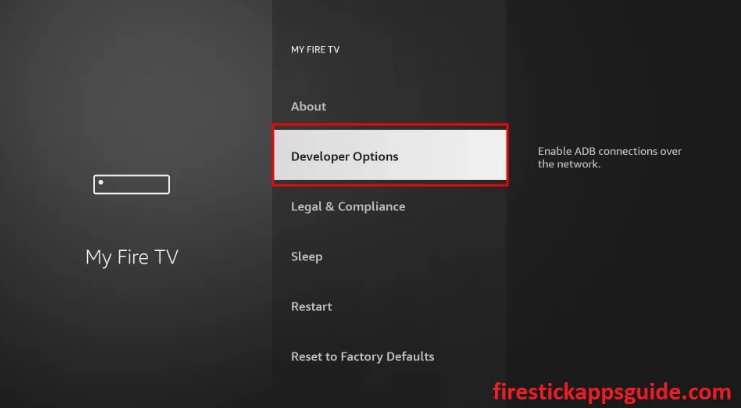 Choose the Developer Options