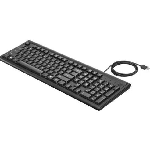 connect wired keyboard to Firestick